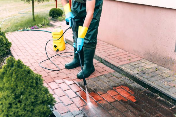 Roof Power Washing Services